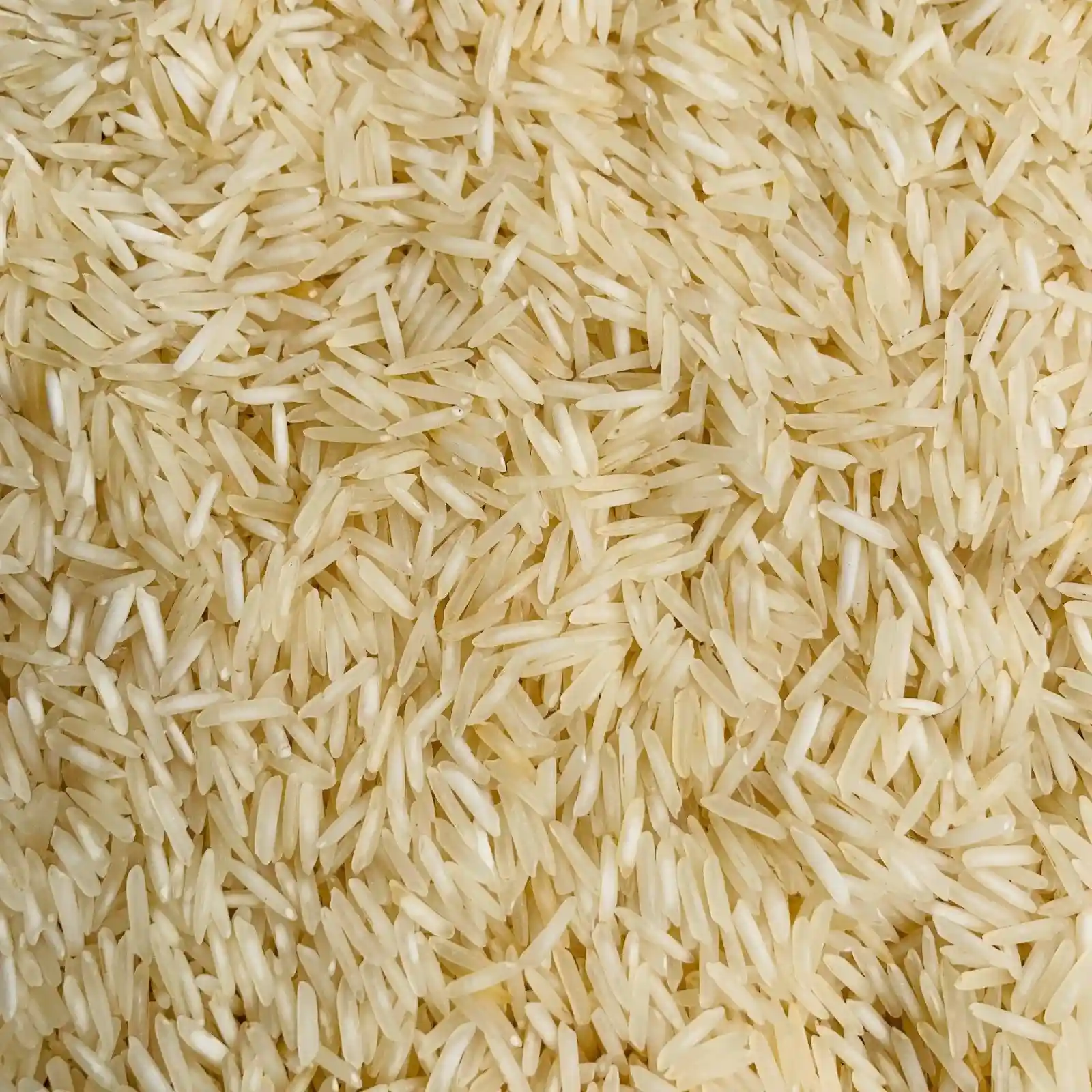 Premium Rice - प्रीमियम चावल